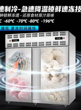 冻冷柜商用下458速0度零急692冻插盘冰箱包子饺子海参速冻度机