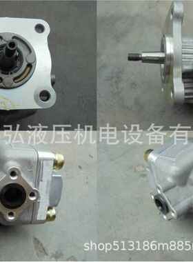 CBF8911Z-G32F/3.5P合轮力叉车液压泵9齿液压车齿泵维修油缸