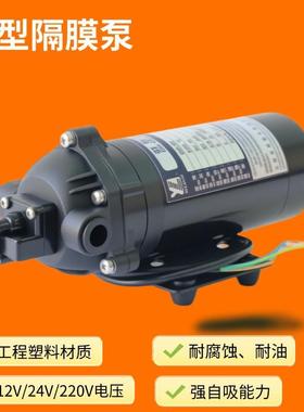 DP-60220V|微型水泵|耐油耐腐材质|高效增压洗车及车油过滤