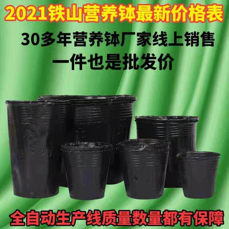 营养杯育苗杯营养钵育苗盆塑料加厚一次性农用营养袋育苗袋花盆大