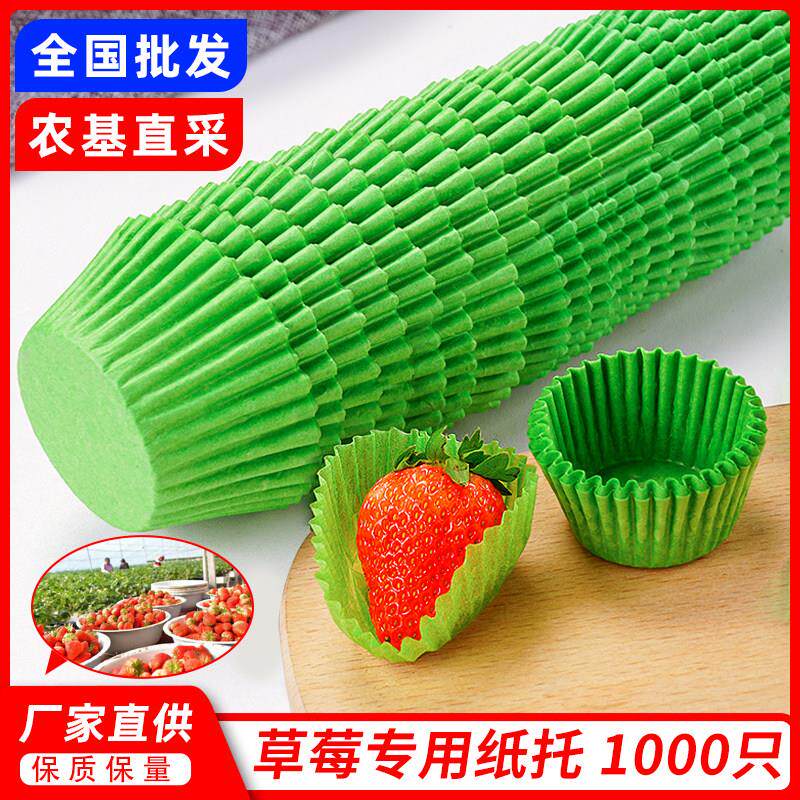 草莓纸托绿色蛋糕纸托草莓包装保护纸套垫纸大中小号防碰撞油纸托