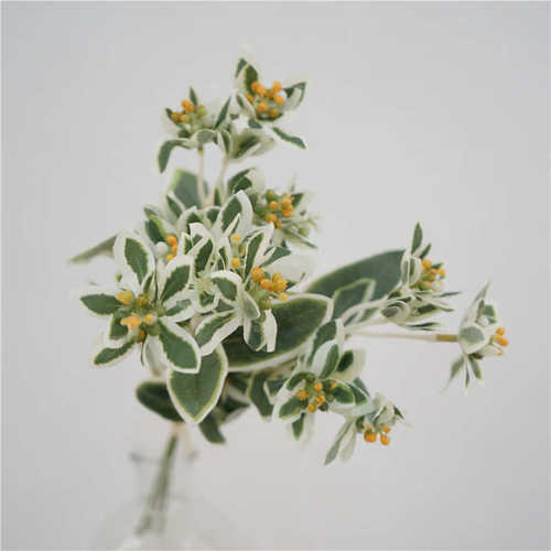 小清新自然高质仿真花束把束鸣子叶高山积雪餐桌装饰花艺婚庆假花