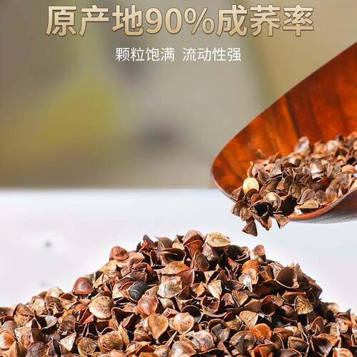 新款直销颈椎枕荞麦皮枕头颈椎睡觉专用按摩枕助睡眠硬圆柱单人护