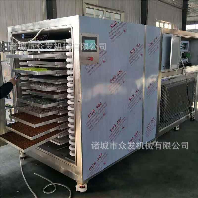 定制水脆5平方真空冻干机红果冻参低温果冷冻干燥机 中药真空干