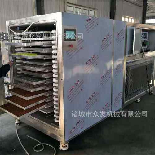 杨梅真脆空冷冻冻1-30平干机 果蔬片设升华机干燥备 水果食品冻干