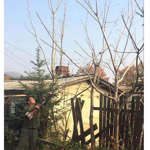 树枝修剪汽油背负高枝锯 1-6米园林果树修枝剪 汽油背负剪枝锯