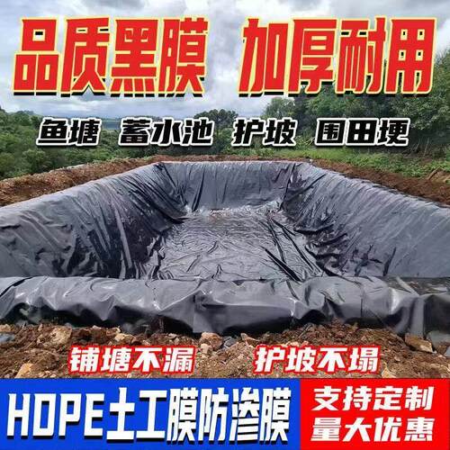 土工膜PE防渗膜鱼塘蓄水池防水膜加厚耐用多功能农用薄膜支持定制