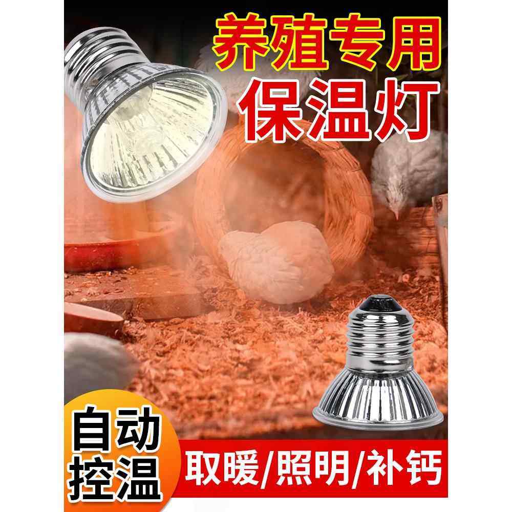 芦丁鸡保温灯小太阳育雏取暖灯宠物乌龟晒背保暖灯小鸡用加热灯,畜牧/养殖物资,养殖保温灯,淘宝优惠券,粉丝福利购,淘宝优惠卷