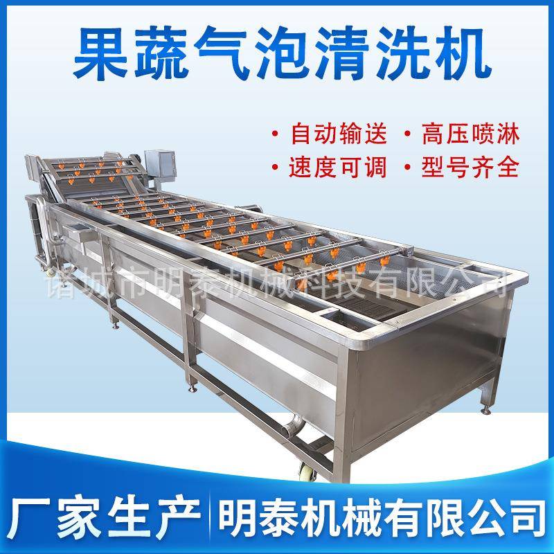 蔬菜瓜果果蔬气泡清洗机竹笋蕨菜全自动洗菜机杨梅清洗蒸煮线