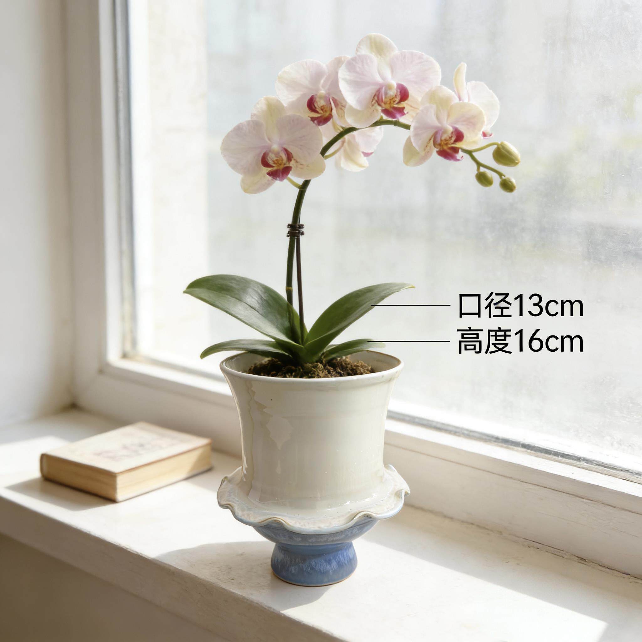 Jingdezhen Handmade Pot | 波浪边高脚款蝴蝶兰花盆 轻奢花器