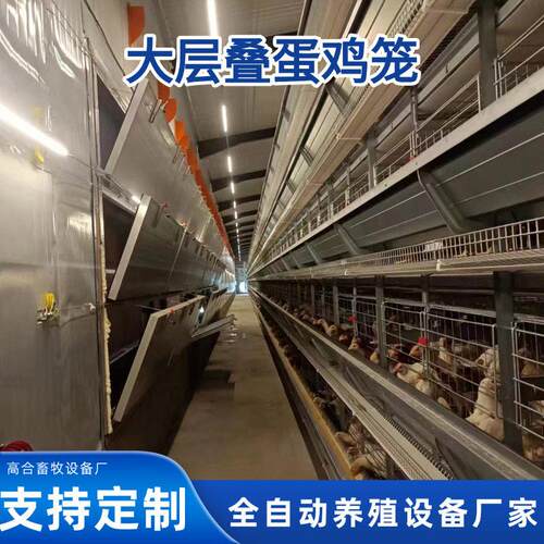 大层叠鸡笼养殖设备厂家定制热镀锌全自动饲喂自动清粪集蛋养殖笼