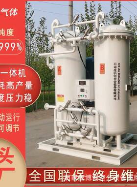 工业氮气机食品氮气机变压吸附制氮系统制氮机工业氮气机制氮机