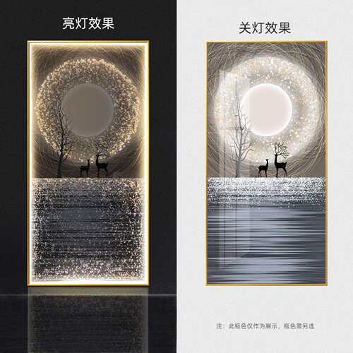 LED灯星空麋鹿玄关装饰画现代简约轻奢客厅走廊过道灯画高端挂画