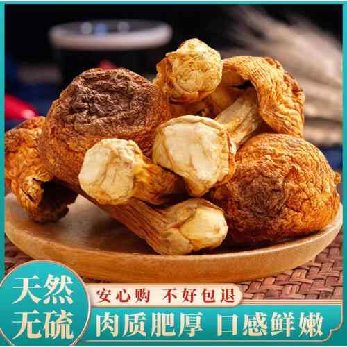 福建古田特产姬松茸新鲜干货无熏硫肉厚菌菇煲汤食材肉质脆嫩