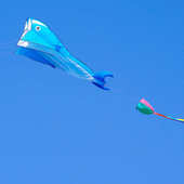 新款 3D立体软体海豚风筝微风易飞儿童成人新手初学者易学