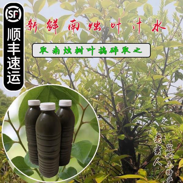 宜兴特产野生新鲜乌树叶汁乌饭草溧阳南烛叶乌米水3斤装乌饭叶汁