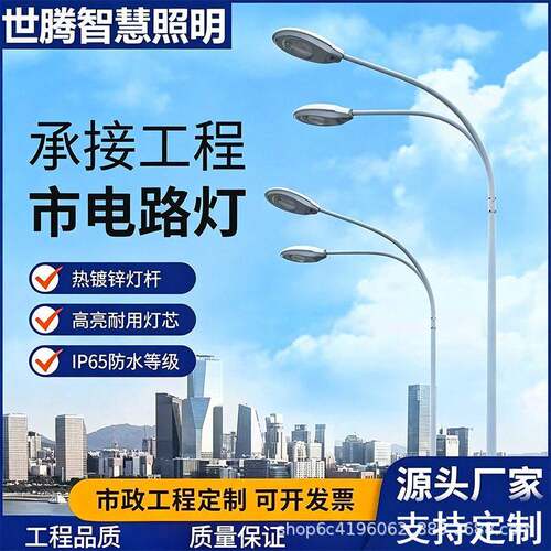 LED市电路灯市政杆亮户外防水路灯6米8米10米照明路灯杆