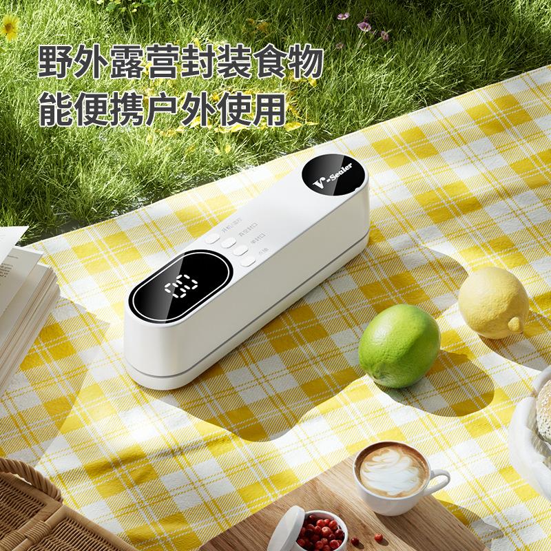 全自动迷充真空封口机包数显家你用食品装机干SJT-818湿两用电保