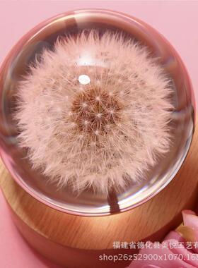 学生奖励小礼品蒲公英水晶球家居树脂工艺送女朋友创意家居摆件