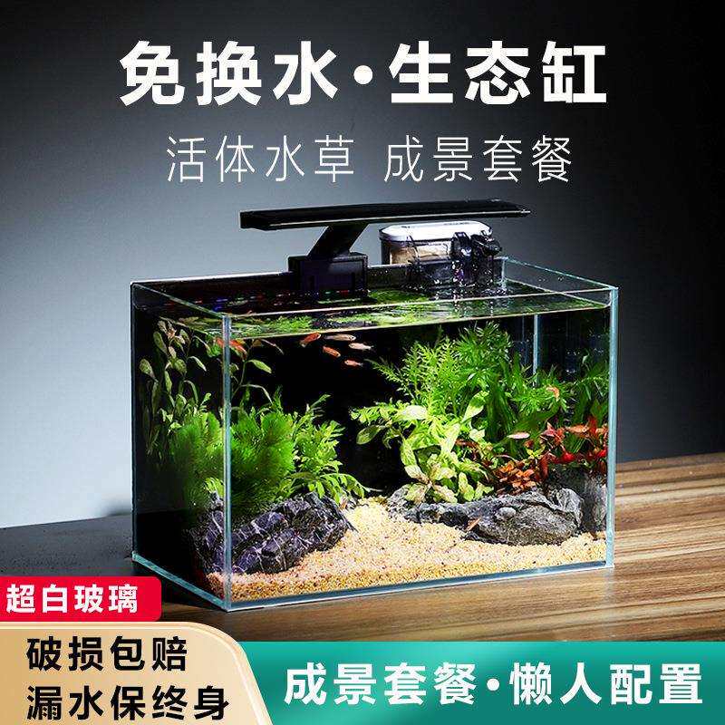 鱼缸客厅小型生态造景全套桌上小鱼缸桌面电视柜旁家用免换水超白