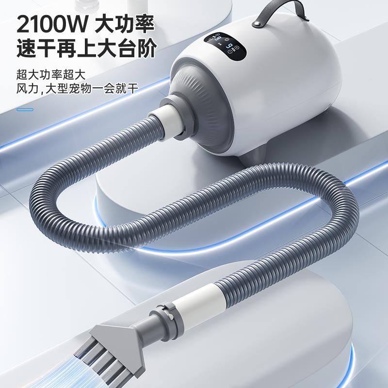 吹水机狗狗吹风机宠物烘干机洗澡大型犬家用猫咪静音吹毛