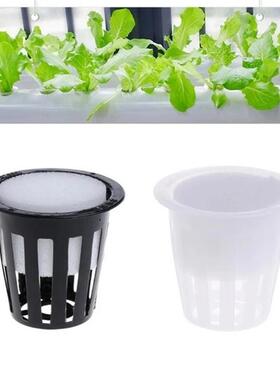 热销 定植篮 水培蔬菜定植杯无土栽培 塑料加深 植物固根器