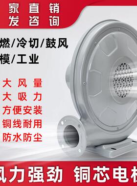 永成CZTD250W厨房离心式炉灶锅炉鼓风机中压风机220v380V强力包邮