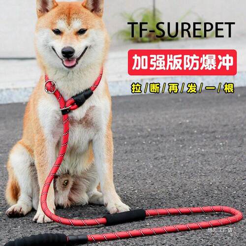 狗狗牵引绳中型犬p链遛狗绳大型犬p绳防爆冲遛金毛牵拉布拉多狗绳