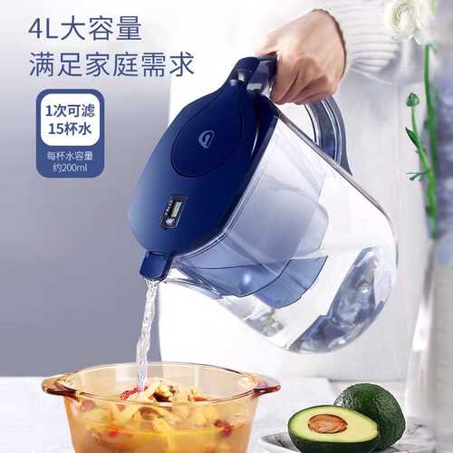 BWT倍世家用净水壶净水器厨房滤水器通用去水垢大容量过滤水壶4L