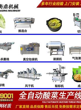 酱黄瓜芥菜丝生产线 辣白菜设备海带丝酸菜加工机器 泡菜生产设备