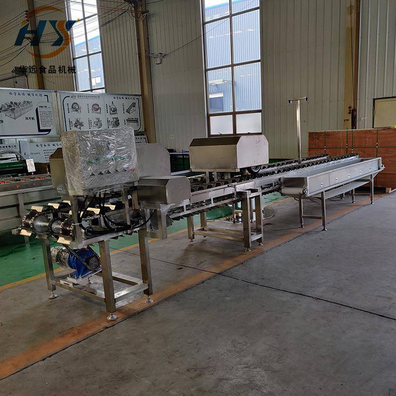HY-4000型鼓泡清洗机 娃娃菜加工成套设备 果蔬蕨菜清洗机
