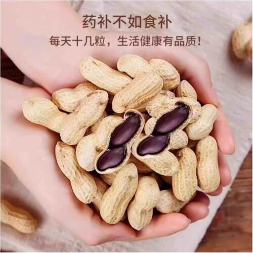 富黑硒花生带壳MFQ生小粒原味黑花味甜黑皮花生米500云g黑花生南