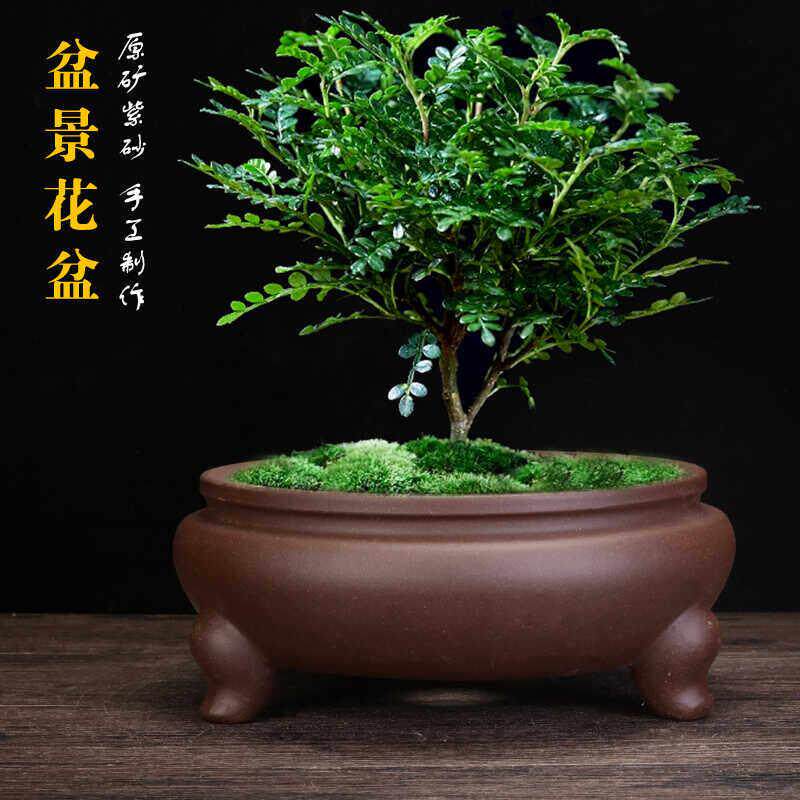 宜兴紫砂花盆圆口三足香炉盆景创意室内桌面假山多肉菖蒲厂家直销