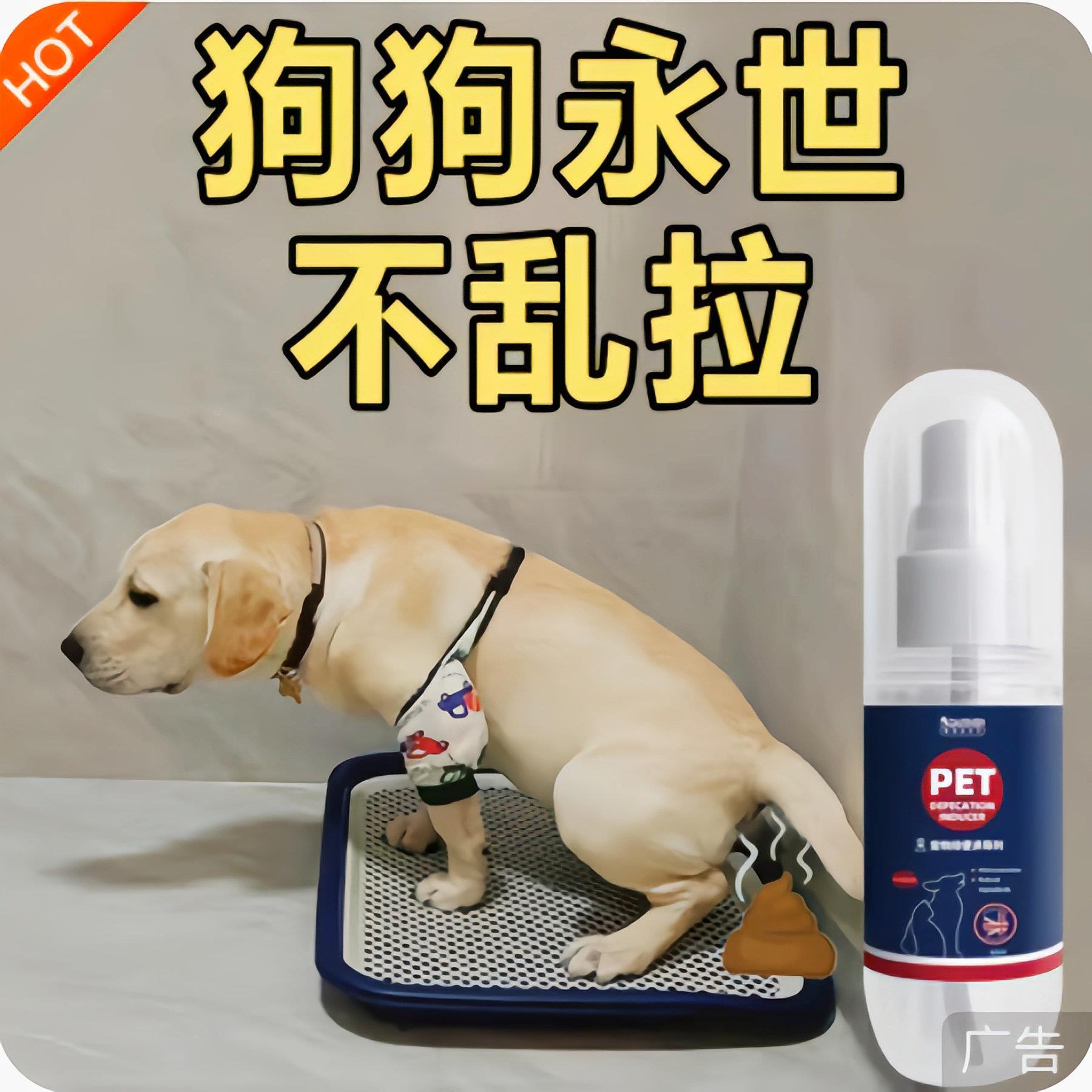 宠物猫狗不乱拉猫狗定点排便上厕所诱导剂狗大小便狗训练拉屎