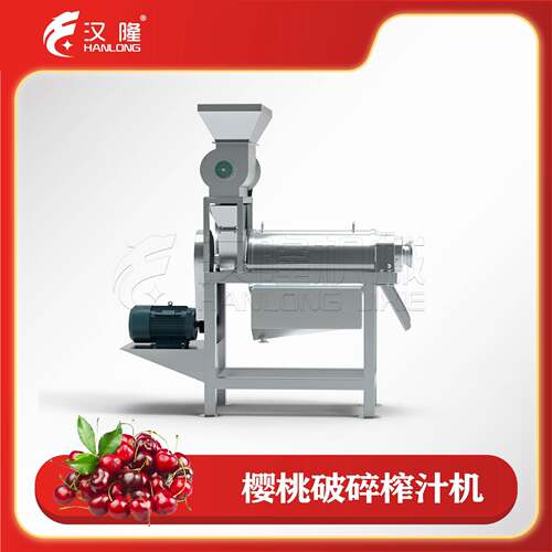 不锈钢大型工业破碎樱桃榨汁机组挤压式蔬菜水果螺旋榨汁破碎设备