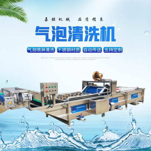 全自动小龙虾翻浪水洗设备不锈钢果蔬气泡清洗机高压喷淋净菜机