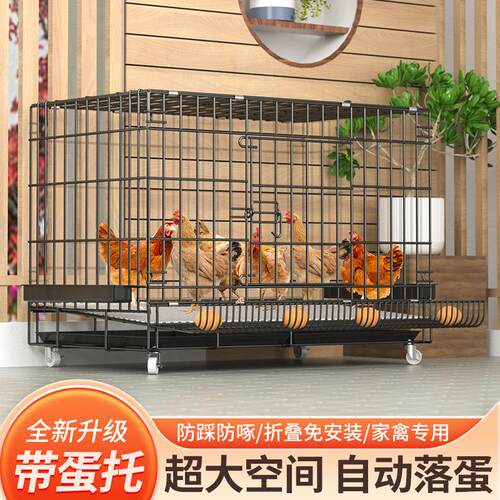 鸡笼鸡笼笼子下蛋鸡窝鸡舍折叠窝