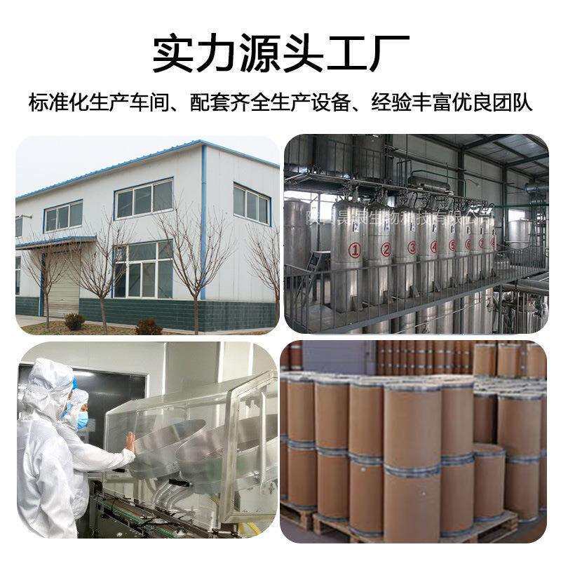 黑蒜提取物 30:1厂家现货发酵大蒜提取物 黑蒜萃取原料 黑蒜粉