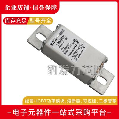 170M2614/2615/2616/2617/2618/2619/2620/2621全新熔断器现货