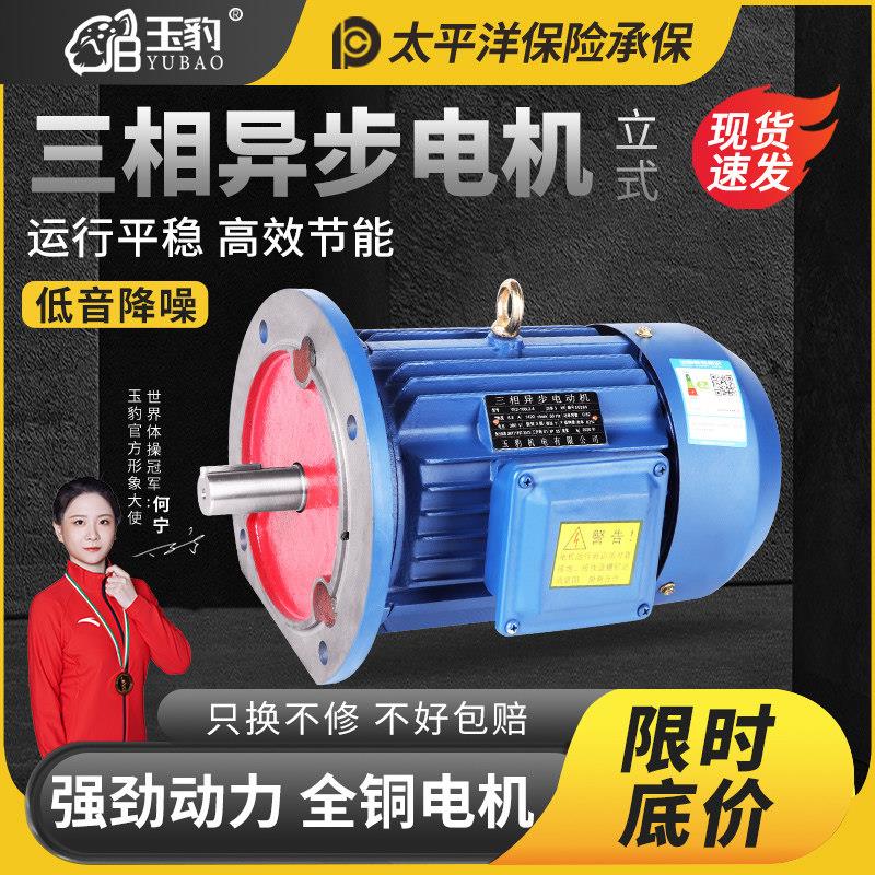 立式三相异步马达0.75/1.1/1.5/2.2/3/4/5.5/7.5KW电机380v