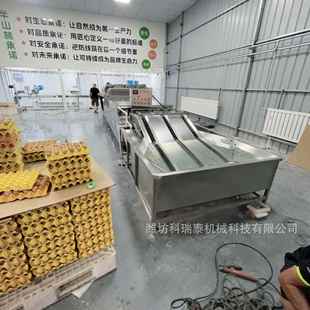 三排蛋洗机 洗蛋机 加蛋品鸡清工设PLG备生产厂家