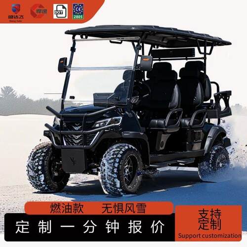 燃油高尔夫球车