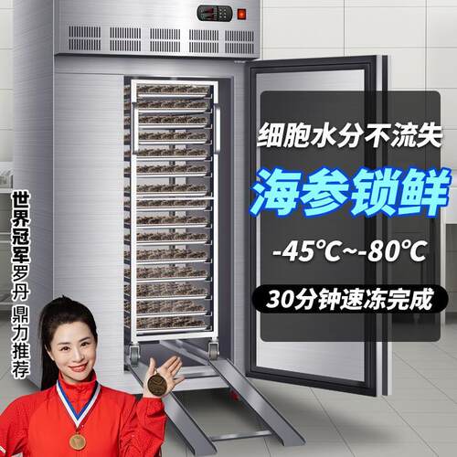 德菱仕速冻冷柜商用零下45度80度急冻插盘冰箱包子饺子海参速冻机