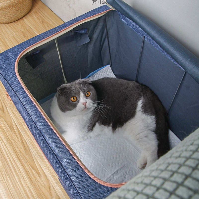 猫咪生产房繁殖狗狗生产房宠物怀孕奶猫猫产房猫窝猫咪产房窝批发