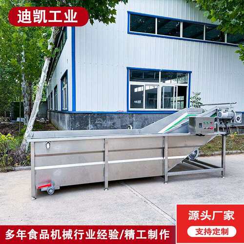 蕨菜清洗机设备全自动果蔬清洗机设备柠檬清洗机设备