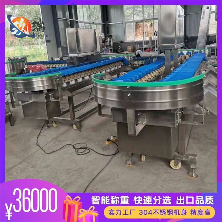 玖瑞红薯多级称重分选机生蚝海参重量分拣机火龙果选果机商用