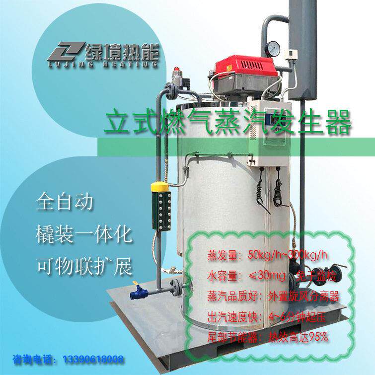 燃气蒸汽发生器50~300kg LSS0.3型贯流结构 水管加热锅炉