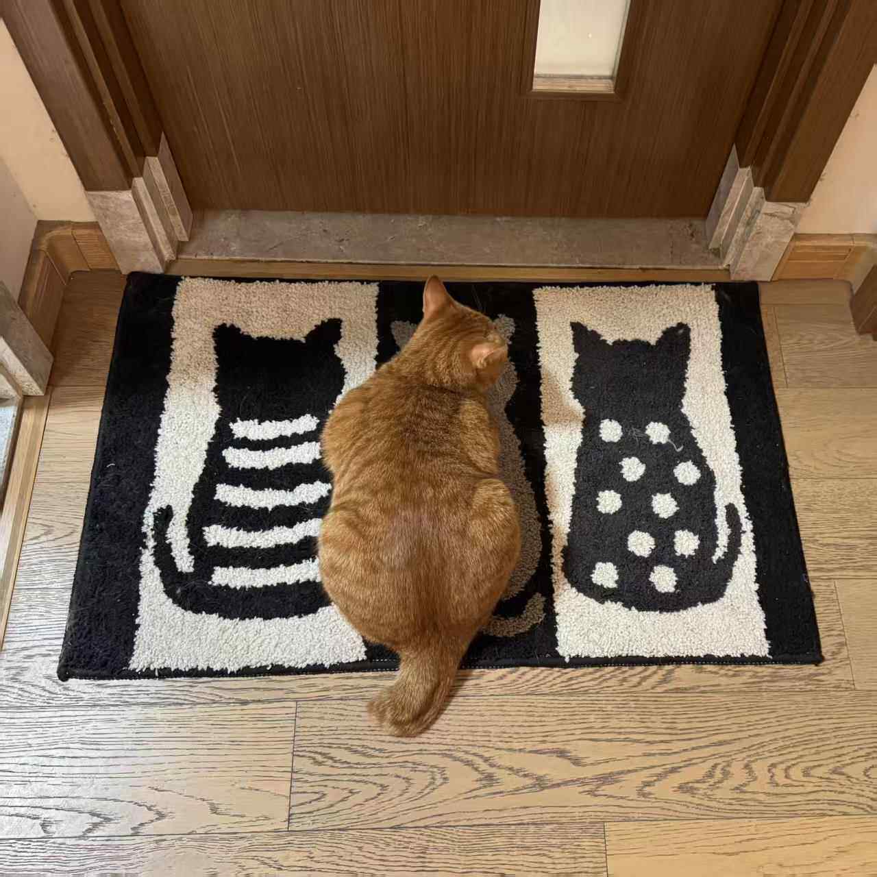 猫咪地垫浴室彷羊绒吸水防滑脚垫家用耐磨入户门门垫卧室装饰地毯