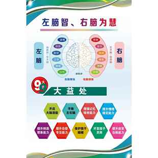 左脑智、右脑为慧 海报左右脑功能图 贴纸 人类才能有、递减法则