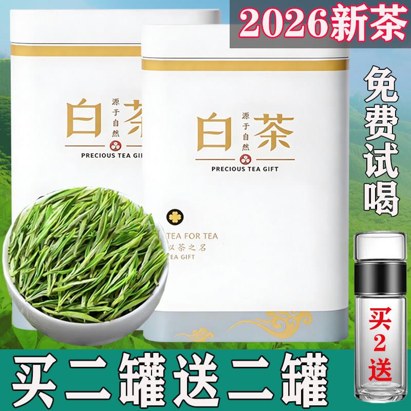 【买二罐送二罐】2026正宗白茶新茶高山毛尖绿茶浓香型礼盒口粮茶
